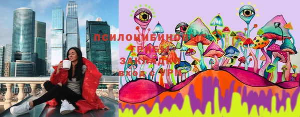 MDMA Горнозаводск