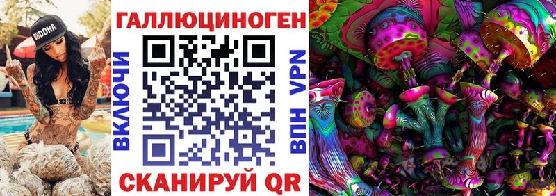 кракен сайт Щёлково Галлюциногенные грибы MAGIC MUSHROOMS купить наркотики цена