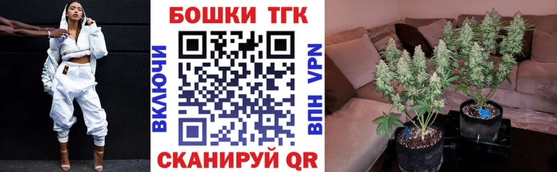 Бошки марихуана индика  Щёлково 